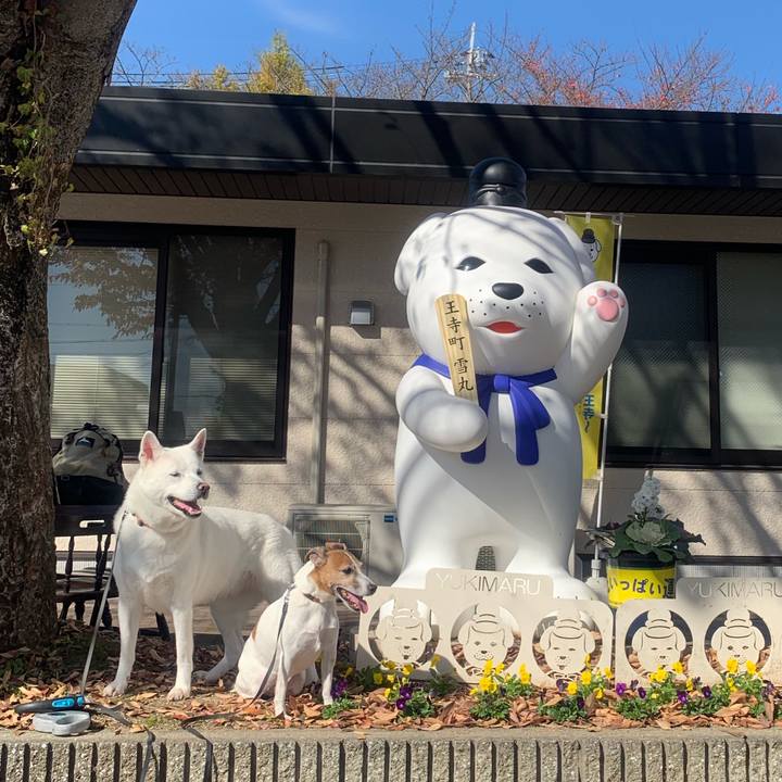 45590fbb f19c 4484 9bf3 f921470efdea 1542529311115