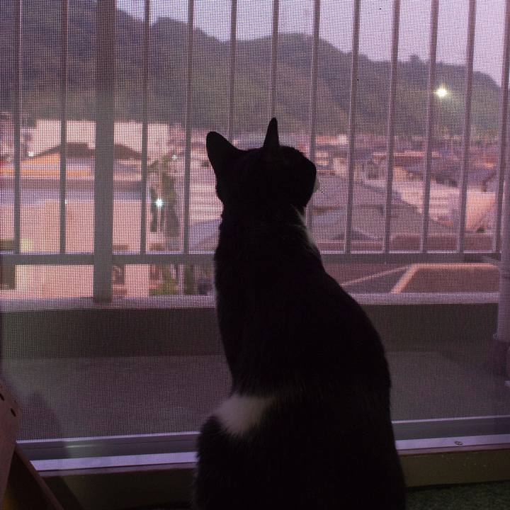 4559290e f42d 490a 8f91 17d83fcb6bac 1531870894906