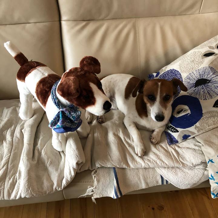 45593061 9aea 4877 92cc f8382ab62b2d 1604906814824