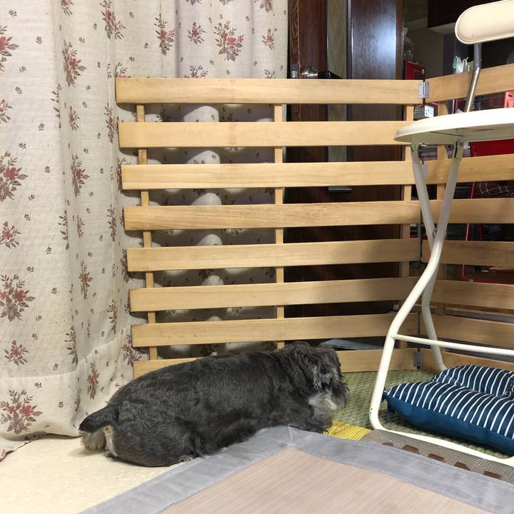 45598d40 9dc2 4211 8f6c 1e7ef7586b88 1630582483923