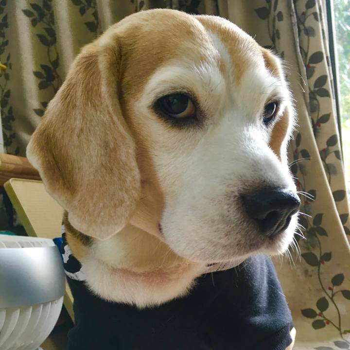 45599575 0dbe 4031 afe9 5e33a3281b60 1576899725370