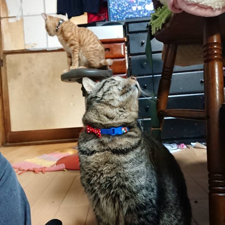 4559a4d3 1fb0 479a 85f0 1db7dbb296e4 1640511074335