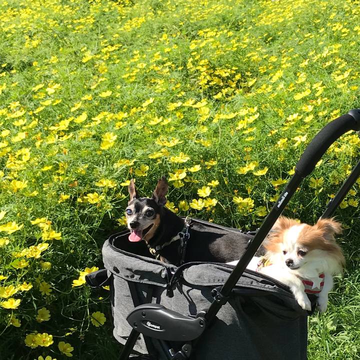 4559b307 b99b 4588 832a da954fda122a 1568548957404