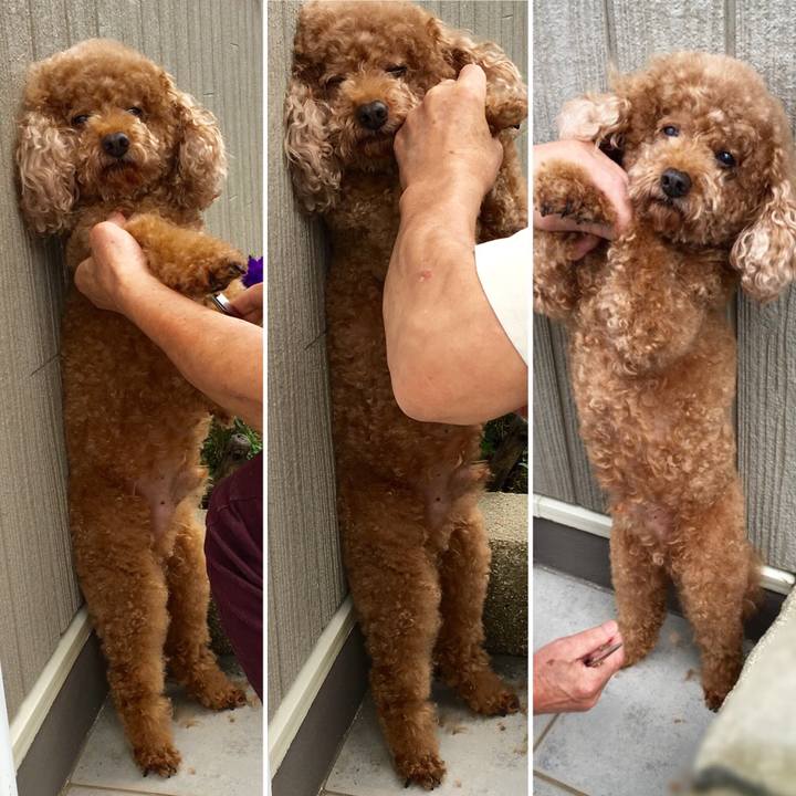 4559e450 4ce6 47e3 8380 cd602d7899da 1535028287033