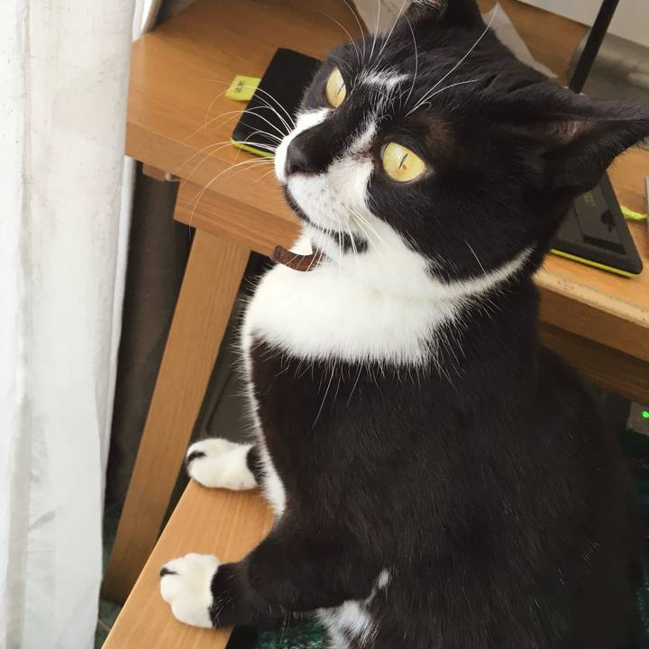 455a1cc5 71ee 464b b946 8a7e515cbe82 1770429605509