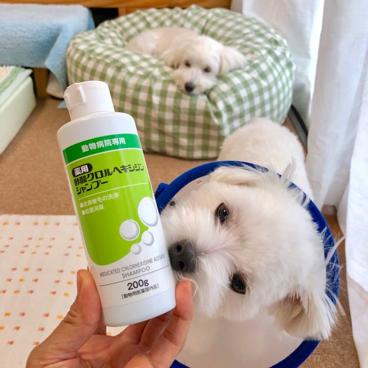 455a3374 1e7d 486e 997a 8ac24b266c08 1532678663181