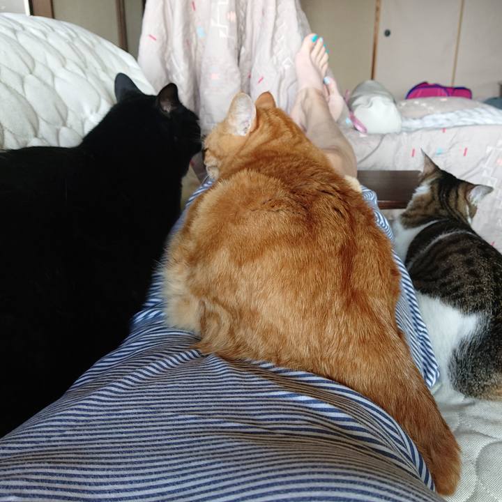 455a377a 7b0b 4e5c 9ea0 e7e381a2b70d 1592700730555