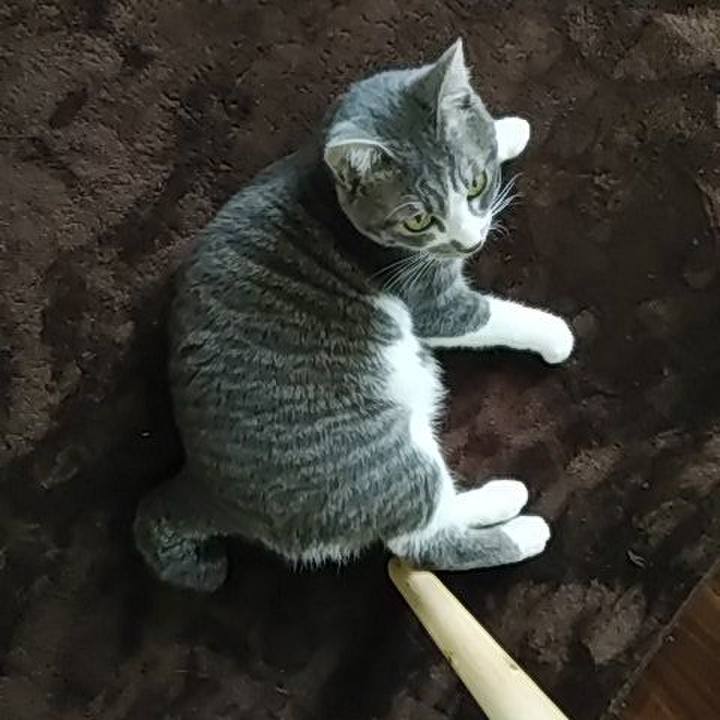 455a59a2 de0f 4869 865f 536277947120 1584067157939