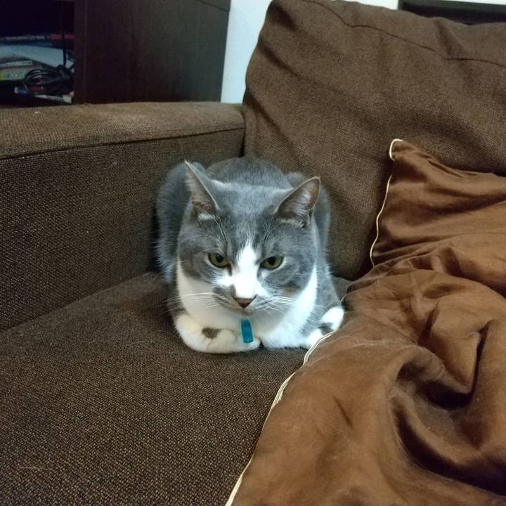 455a7e26 6078 48e5 96d7 cd04eea82c2f 1643460777612