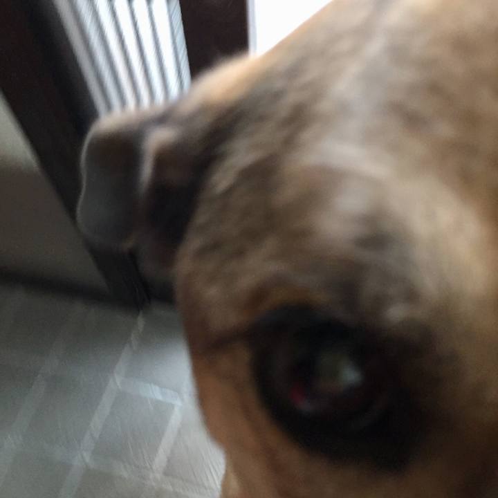 455a7f64 811d 4ac5 af93 bd08e9902bdc 1518508583857