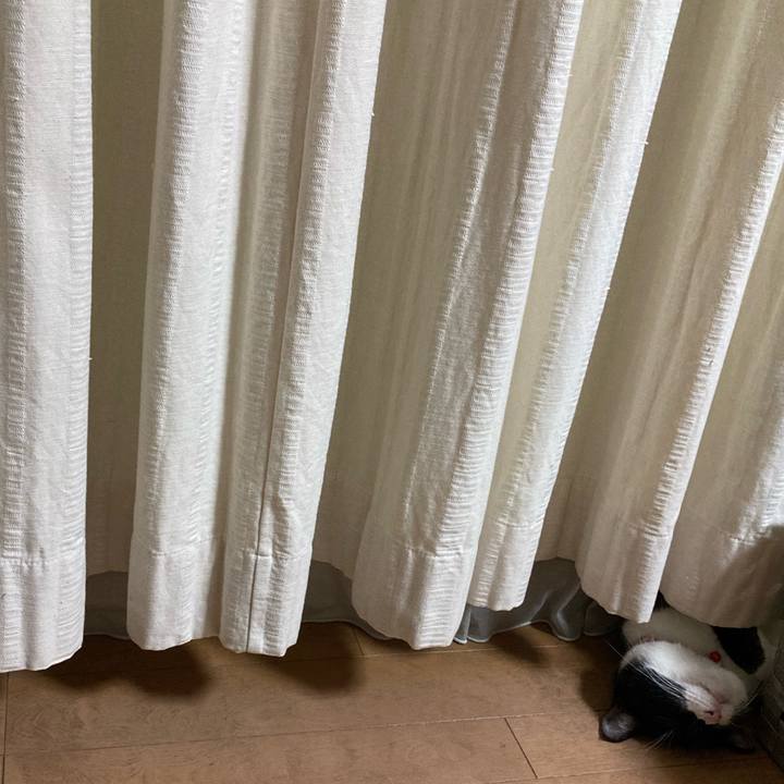 455a83e4 0caa 455a 811c 2cdf8914864c 1690901462358