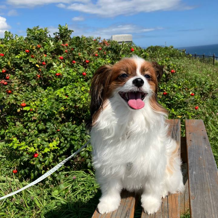 455aad50 d333 4f3d 8613 67cbf229ec15 1724481096018