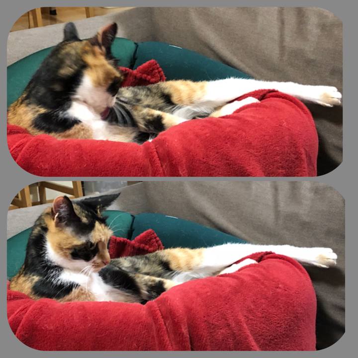 455ac2db 561b 4480 b552 a3fe1637b6ec 1524747228510