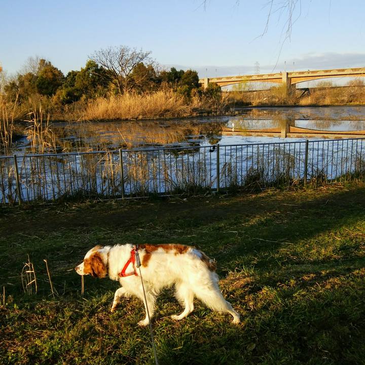 455ac78e 1033 4273 b396 2305e07c2c18 1552003219000