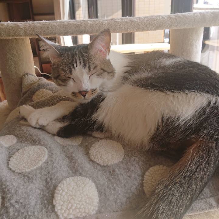 455b34d8 3e31 48ef 8da9 d8b6d4be580e 1644641786507