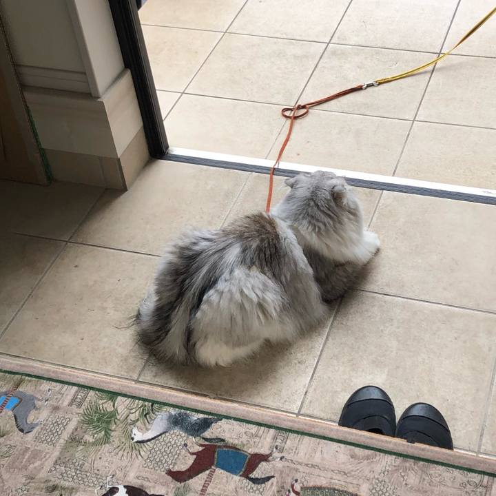 455bb6b1 f9ec 4d39 be26 ba1b39281c40 1663190757194