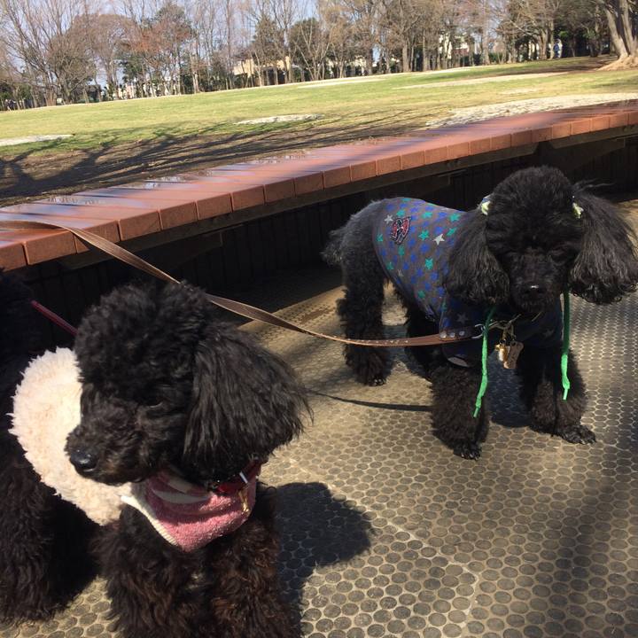 455be775 14bd 44d0 9b66 fceadcc22c44 1620829363288