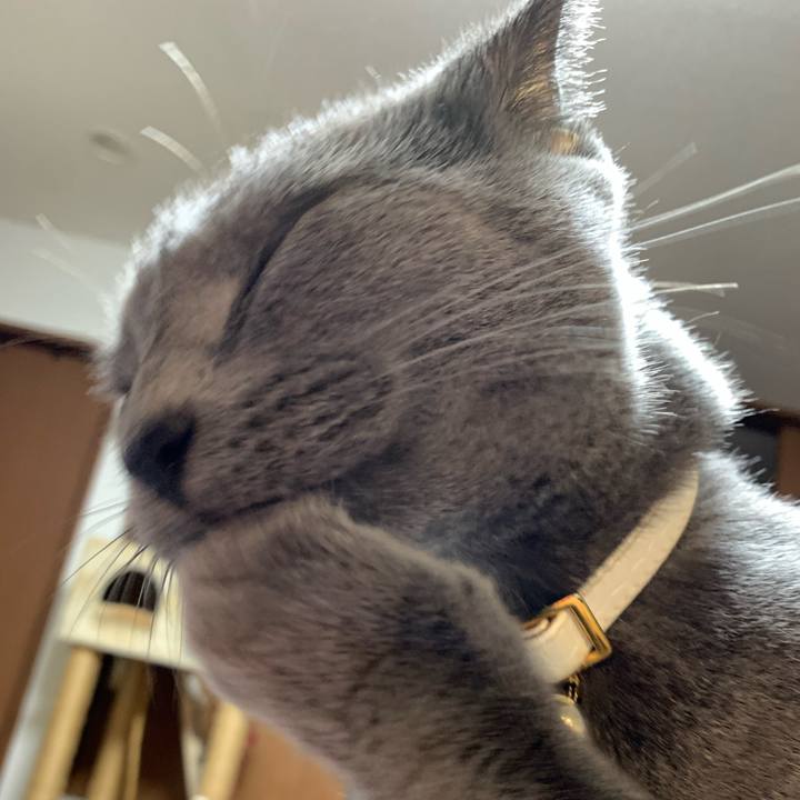 455c1c7d f82e 405e aecc decbc34ce15b 1631447893440