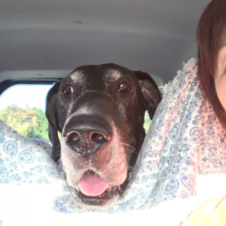 455c1d1c ce91 48f1 a607 02caa6135e86 1540103487725