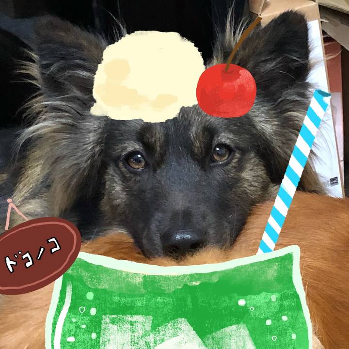 455c5e4d 4538 41d6 8a40 9b9afb133c4e 1755085155936