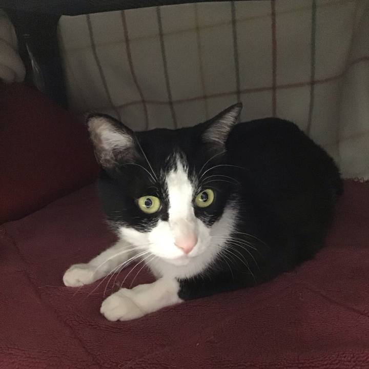 455c725f 7529 45de 9bb8 5c6f2df77e81 1747040489118