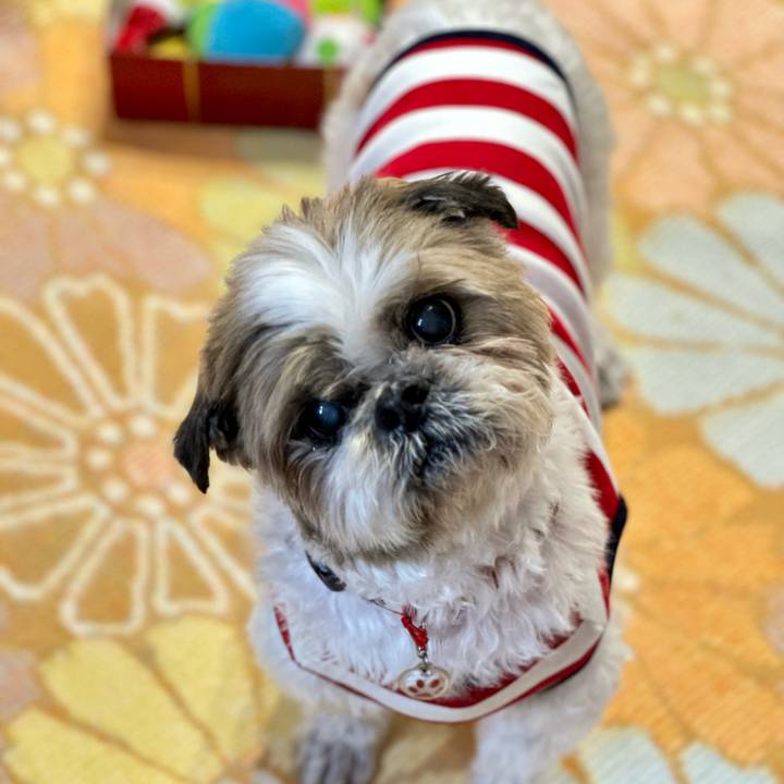 455c92ea 7e53 4d78 b207 763c6b2ca9bd 1681004730940