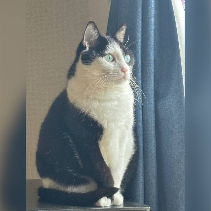 455cdf18 25fd 4d22 b6c0 9878889aa731 1749019863122