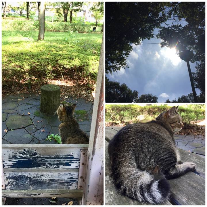 455ce7cf afa3 48d7 b842 7ddd8762c3ff 1538820283539