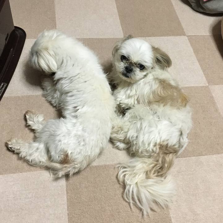 455cf0f0 5d39 41c3 b4dd 2019e1c3047e 1610439000577