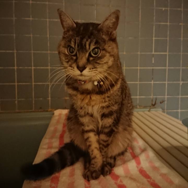 455d0295 20aa 48da b96a ec0bda0d7333 1579769739683