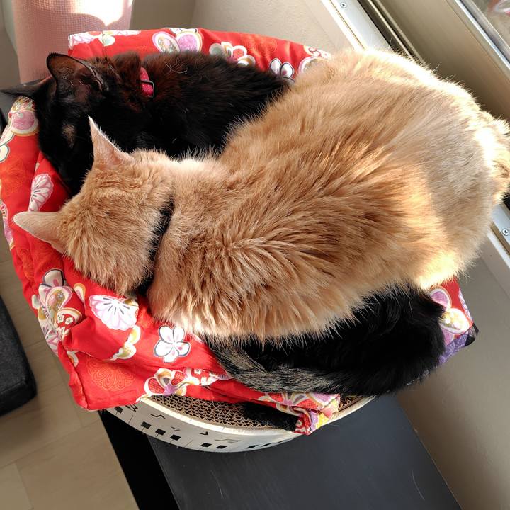 455d3191 2493 49c4 8593 0b8d96704b7c 1738304651825