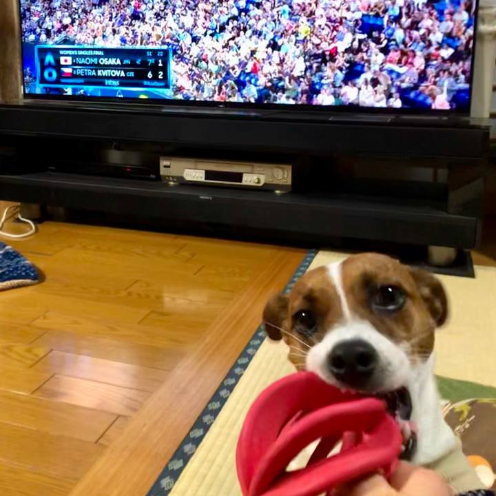 455d7b60 ee23 4fc9 a502 5564190f5a13 1548497106288