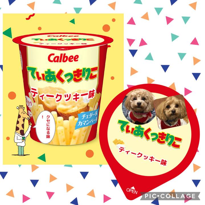 455d9961 d6ac 46f8 b05d bc1c0ff7e585 1635358588610