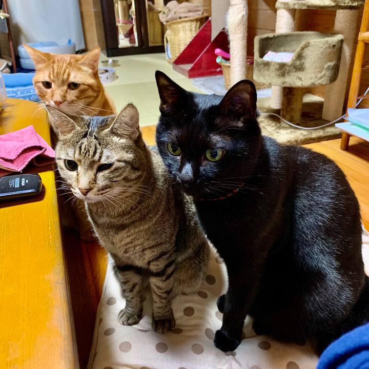 455dd040 9353 4411 8840 900229fd7aee 1570362475138