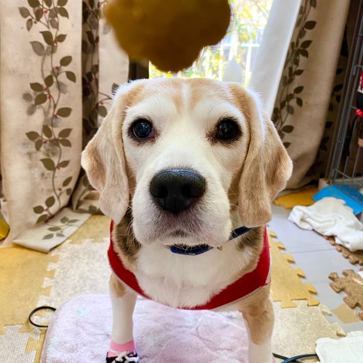 455de960 02c1 4700 aa2c 6789159f18c7 1581479599162