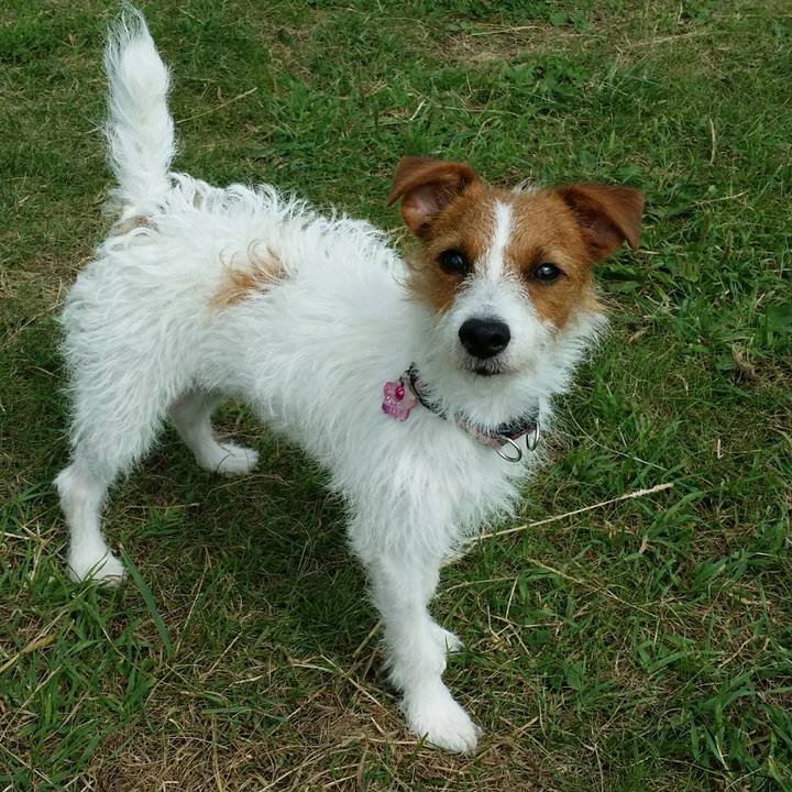 455dedd0 9c8f 4a71 b535 1f042671e2b1 1511848131802