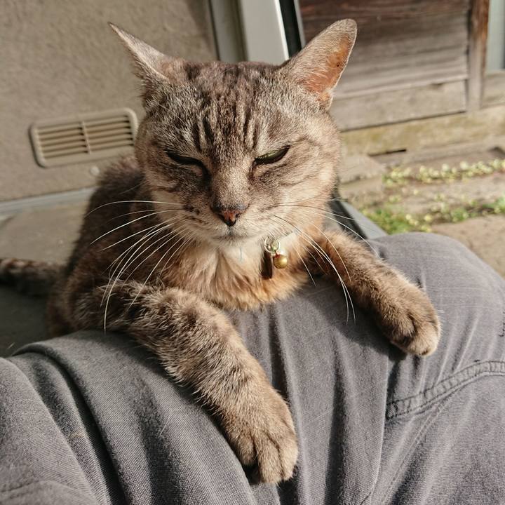 455e1ace 0aaa 4249 a3b8 e4999824da12 1569190282580