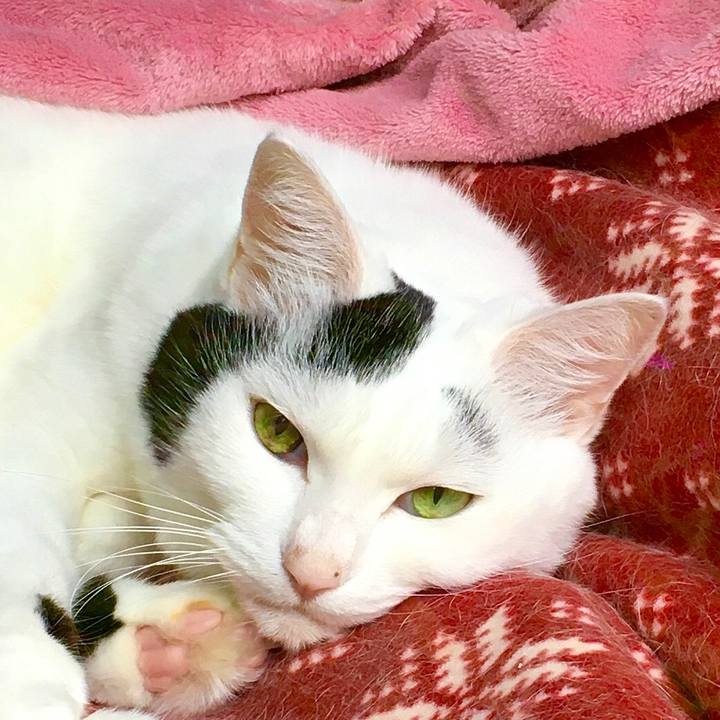 455e3705 3c0f 4601 b369 1b340baf0e78 1571725571193