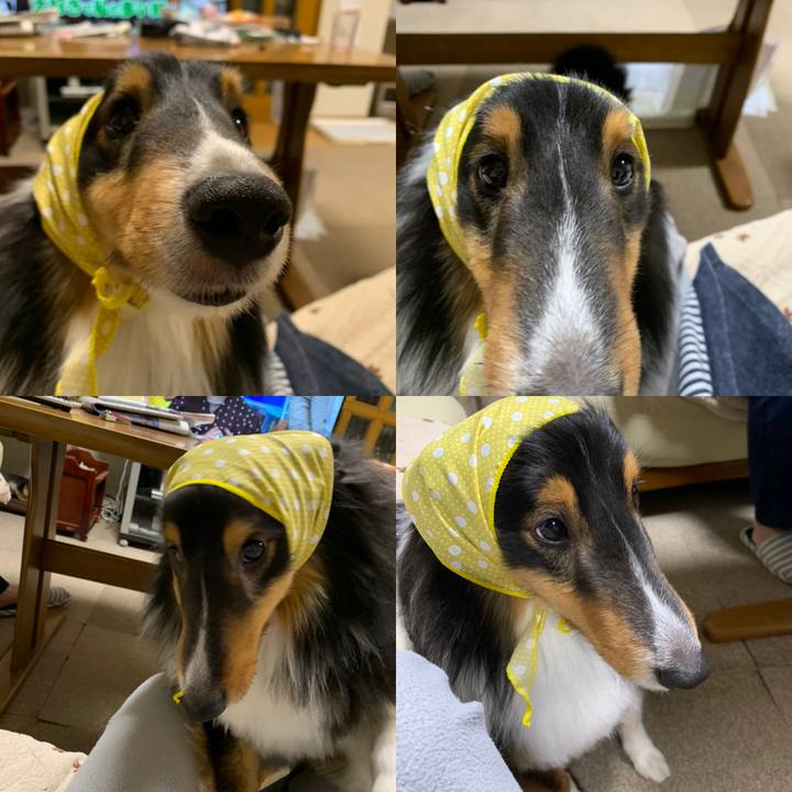 455e3c3e 833c 43a3 bbdb 4da5f919f477 1583704991296