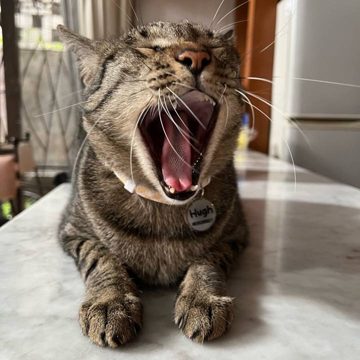 455e55bd daee 4638 9f7d 891a914793c3 1767426137301