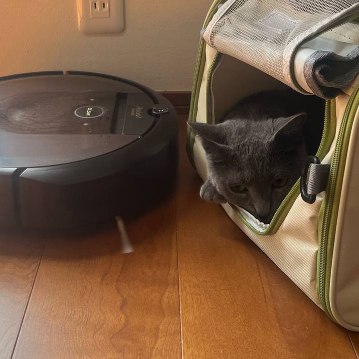 455e57af 09b0 4e3e b55f 486d57618846 1725159509612