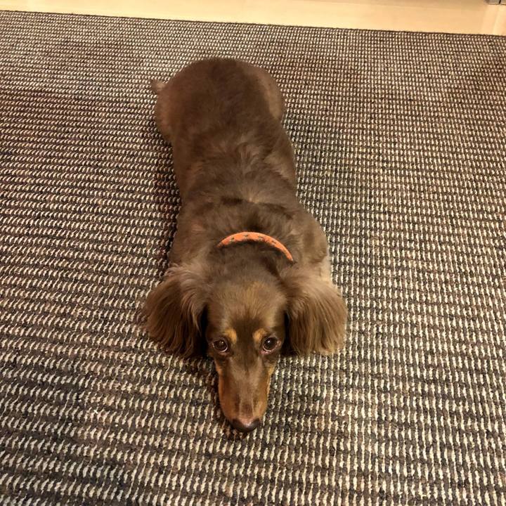 455e8b39 4015 4324 8a14 47fbd9ac6f69 1599449566439