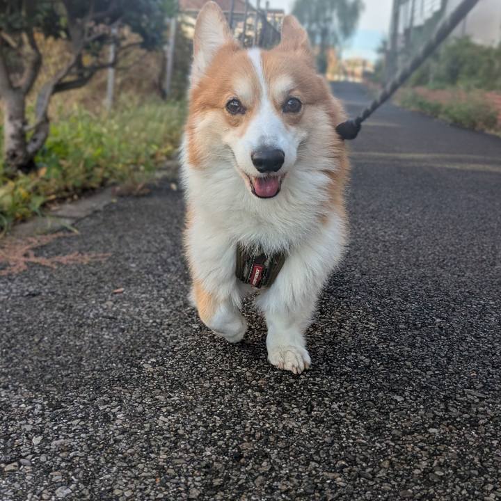 455ea281 edb7 4690 b6a0 d9bf31feb72e 1761967931898