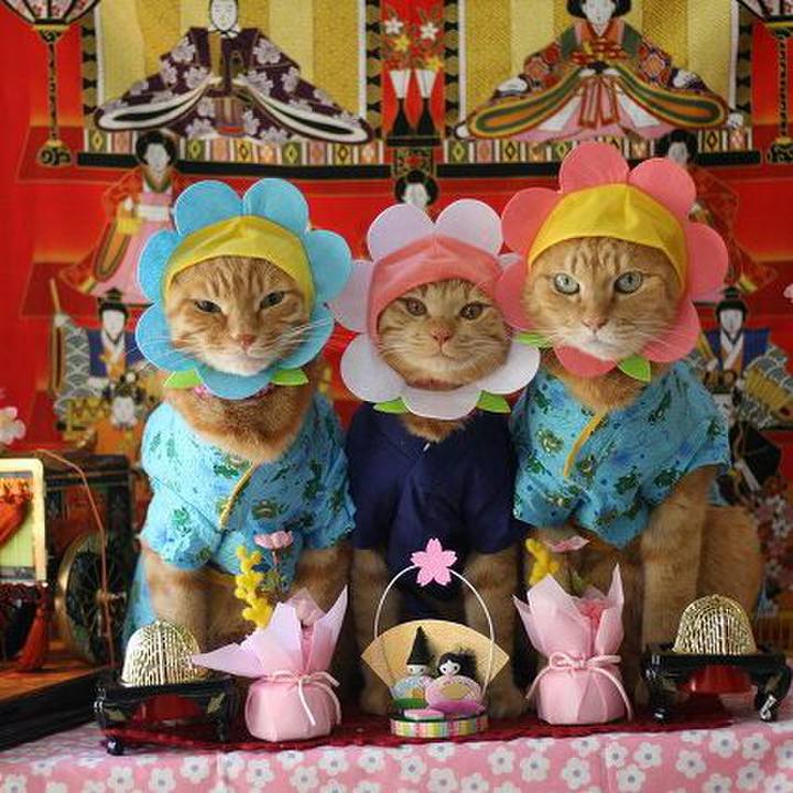 455ea632 a95b 4e8a 983d 122a99e11abb 1551582053136