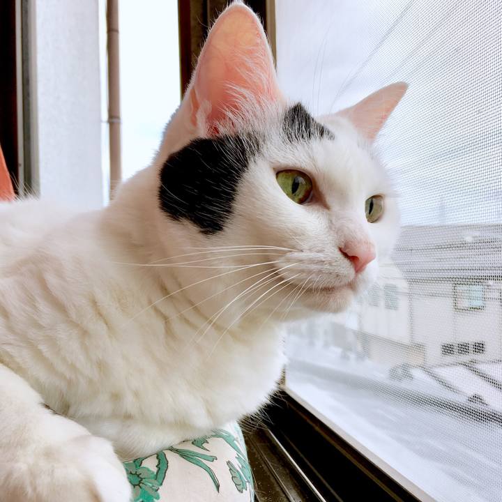 455ec4d3 a9cf 4b79 bad1 5182dec1d63c 1566100441073