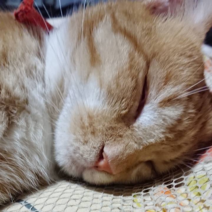 455ecd12 ffd3 4a39 bc79 696fb8f4bc44 1570284796594