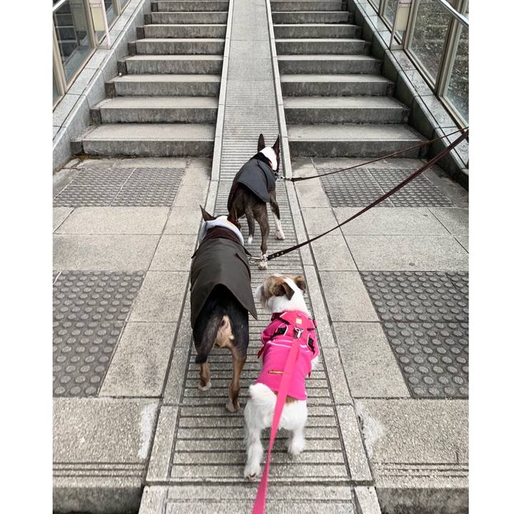 455f5d4a 50b1 4b97 872a 6b93a2683ae2 1580119448279