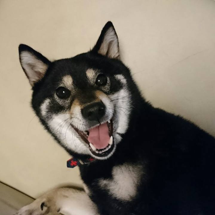 455f9ca5 cea0 42e3 a5f3 1bcdd34d8876 1529409377354