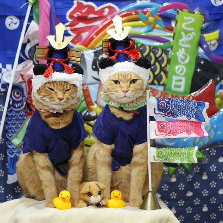 455fe4cd d182 4a63 8f9b 32cdd21b9c56 1524668006205