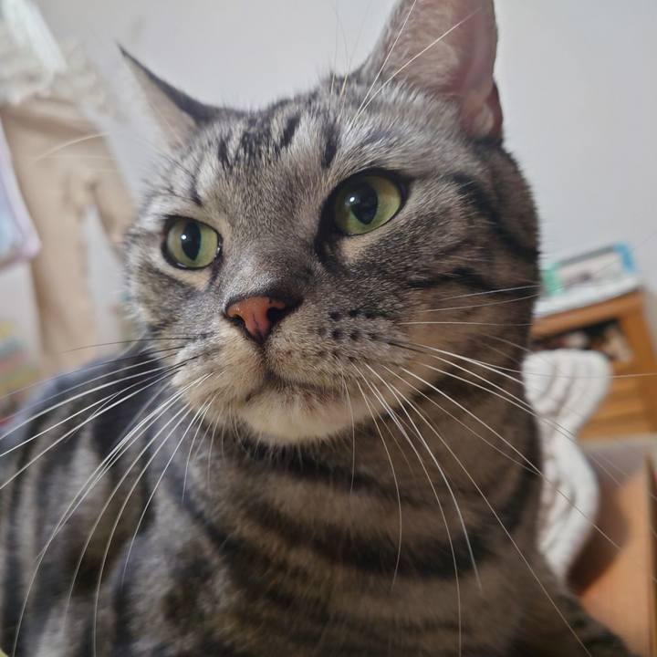 4560040c 287b 4718 8201 834cf7e0a513 1667558880257